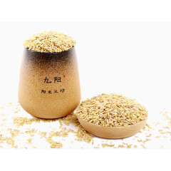 九阳精品燕麦仁