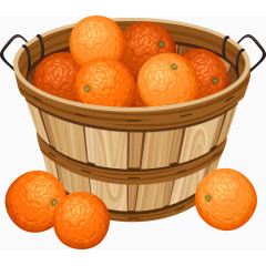 矢量木桶里的桔子