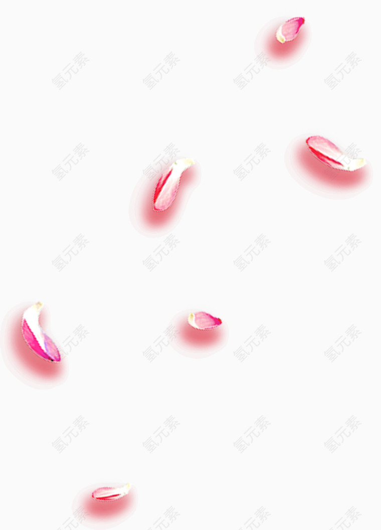 漂浮梅花花瓣