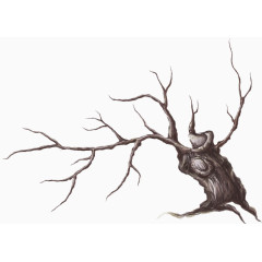 手绘干枯的大树