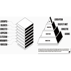 切片灯泡分类图