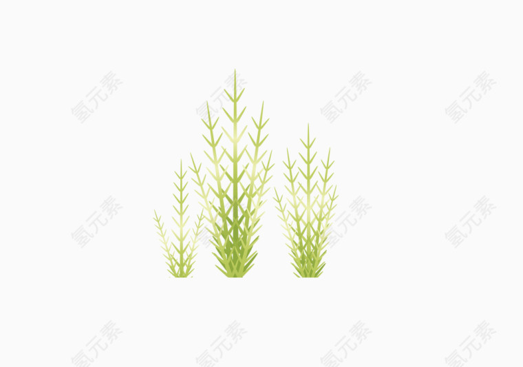 成长的草