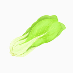 上海青手绘画素材图片