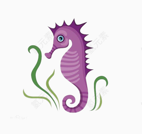 紫色的海马素材图片