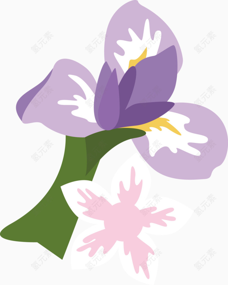 紫色花卉