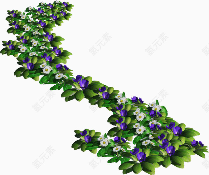 鲜花小道