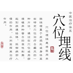 矢量穴位理线研究信息介绍