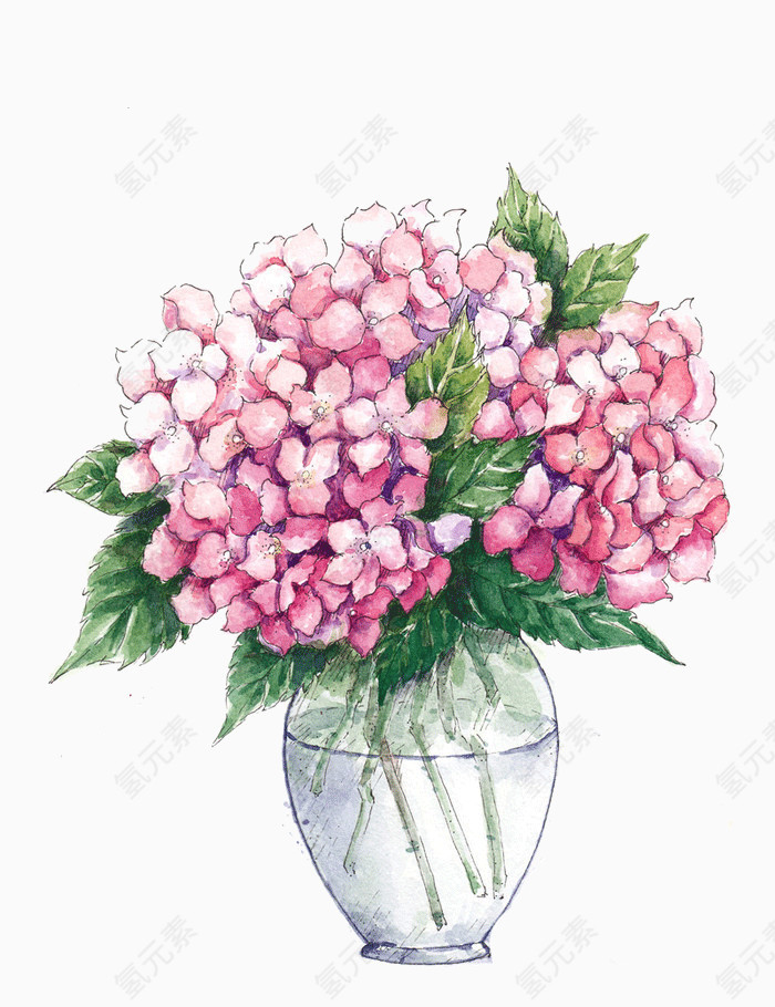 手绘花瓶中粉色的花