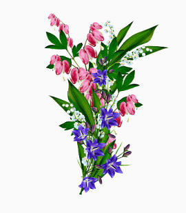 鲜艳的花