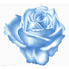 手绘蓝色玫瑰花