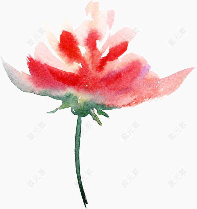 水彩一枝花