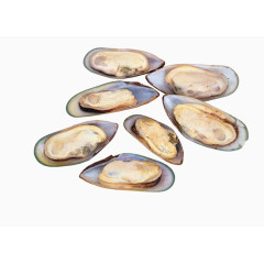 海鲜贝壳蛏子
