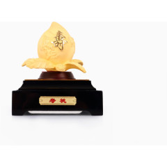 珠宝配饰 实物 店铺装饰 模版