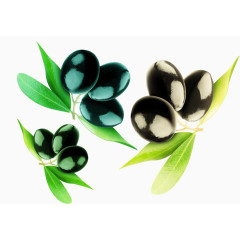 黑色橄榄素材
