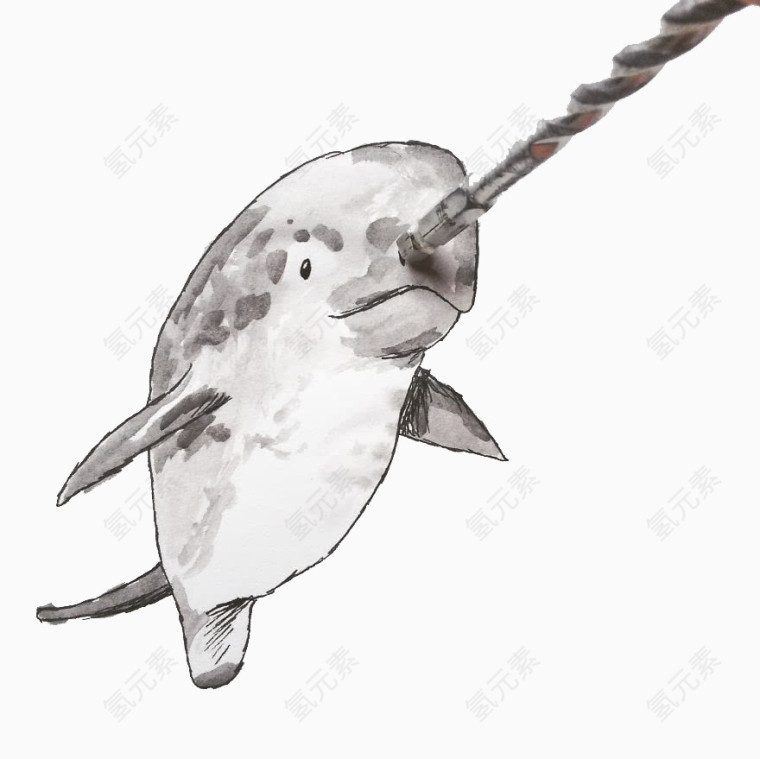 海豚