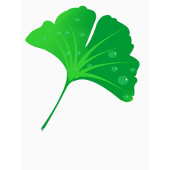 卡通银杏树叶免抠素材