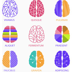 多种多样大脑结构图