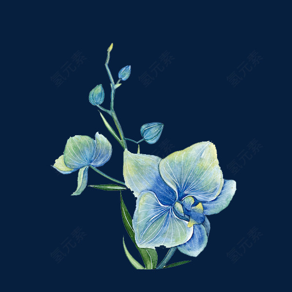 创意水彩手绘花朵