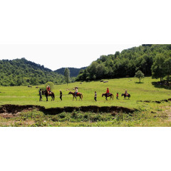 陕西关山草原风景图