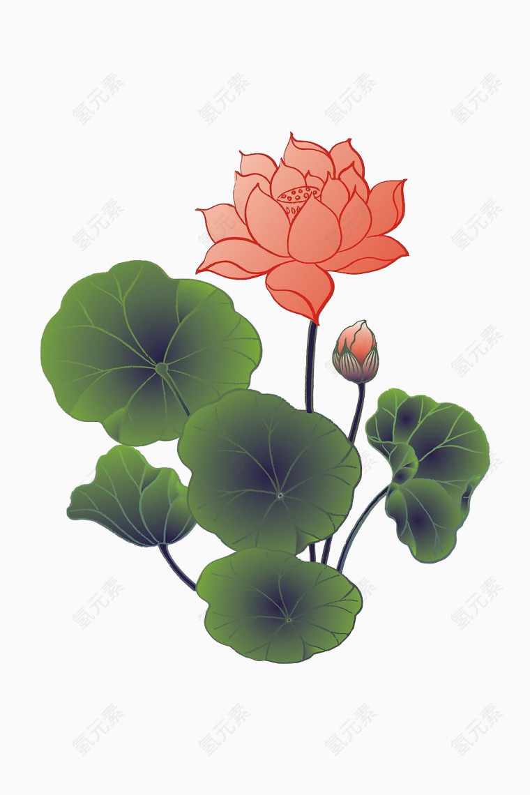 荷花荷叶免抠素材