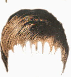 头发   假发   发型