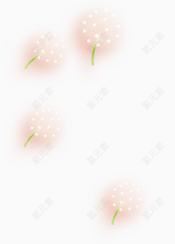 飞扬的蒲公英