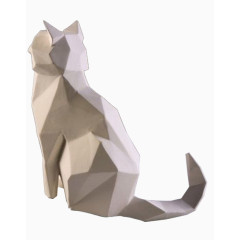 背面仰望天空的小猫