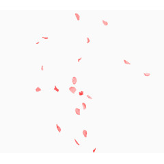 玫瑰花瓣
