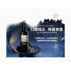 红酒海洋贝壳背景