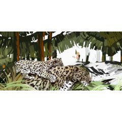 两只豹子和芭蕉森林