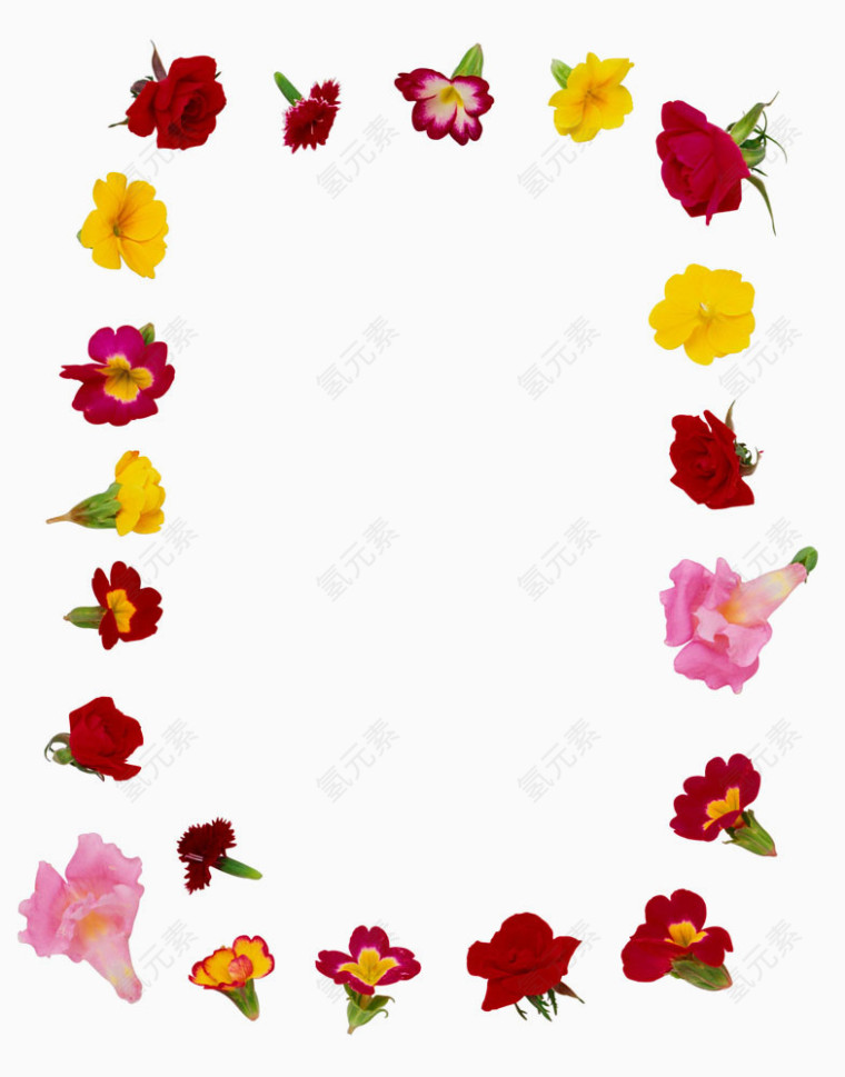 花朵边框