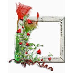 玫瑰花和画框