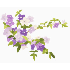 清新淡雅花朵绽放紫色白色粉色