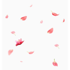 粉色漂浮花瓣