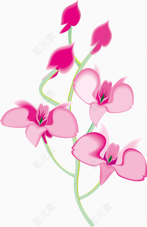 矢量花卉图案