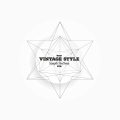 矢量几何线条图