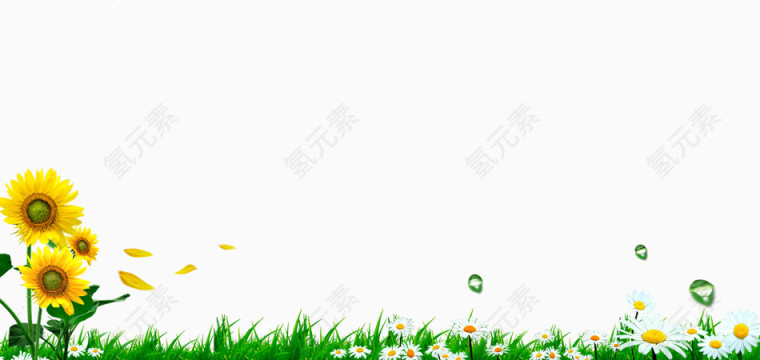 绿色植物