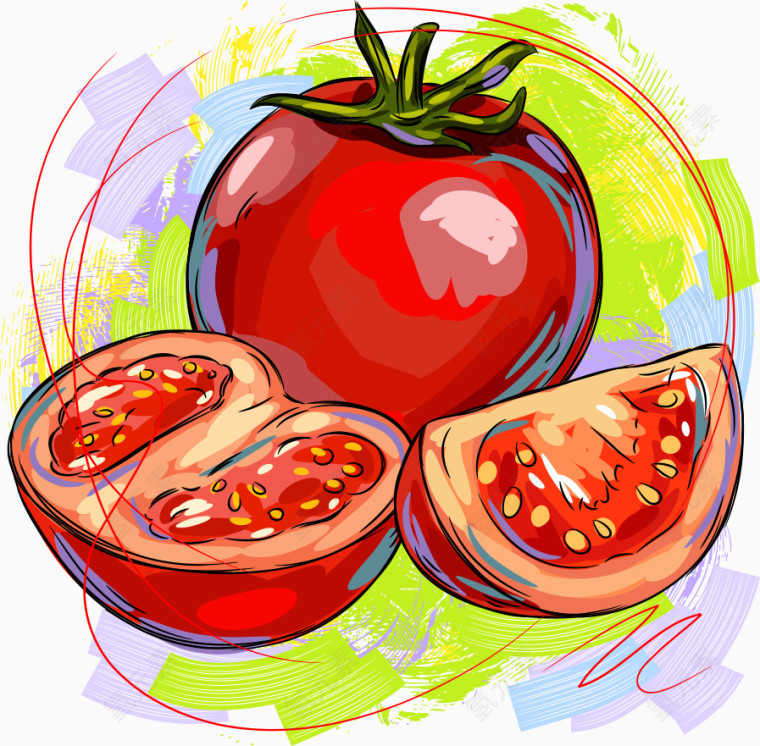矢量西红柿