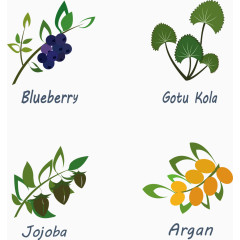 矢量时尚植物图标设计素材