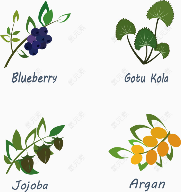 矢量时尚植物图标设计素材