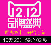 双十二促销标签