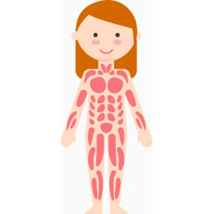 女子6大人体系统矢量图