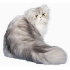 高雅气质的英国猫