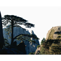 黄山风景迎客松