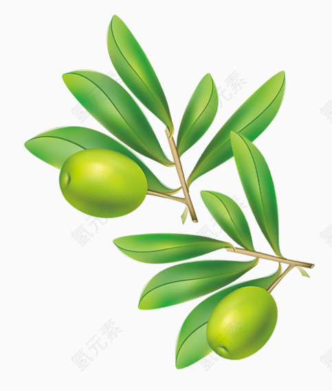 唯美清新橄榄水果淘宝护肤