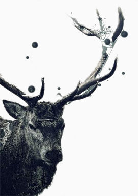 创意设计-麋鹿