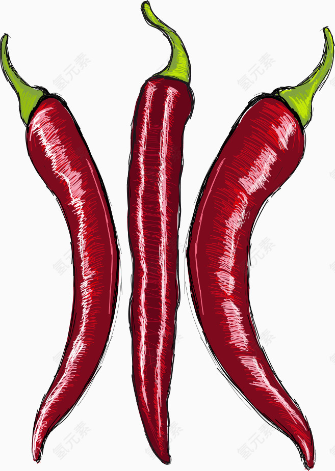 矢量红椒