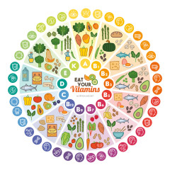 环形状食物营养清单