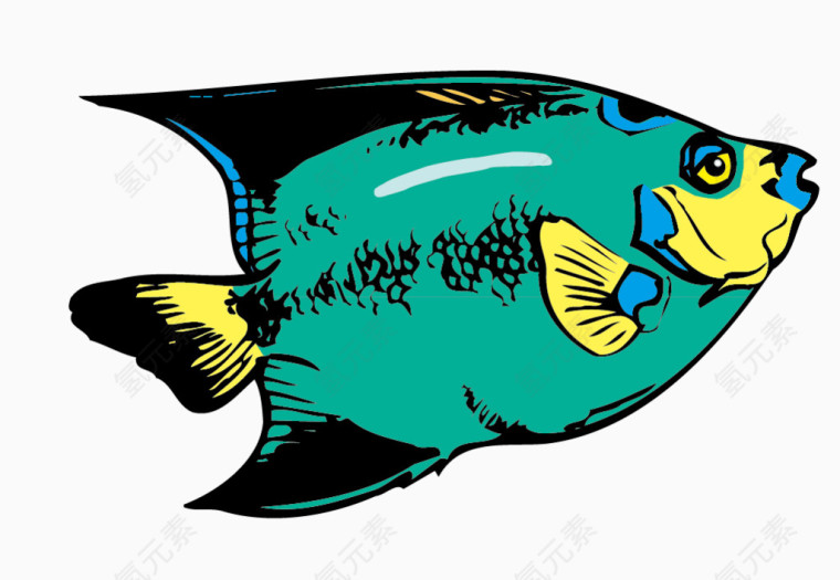 矢量观赏鱼素材