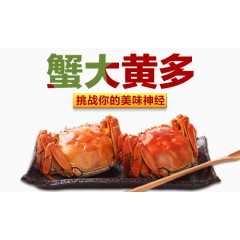 蟹大黄多
